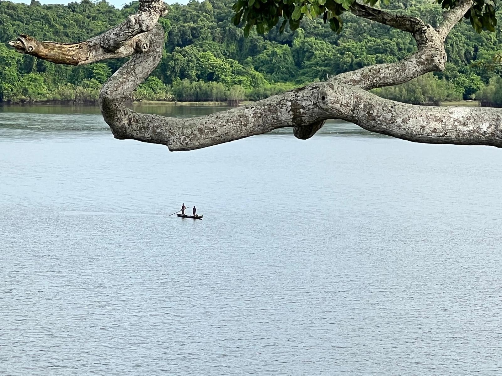 Canoë sous la mangrove à Fresco